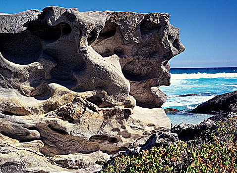 沿岸,石头,排列,西澳大利亚州,澳大利亚
