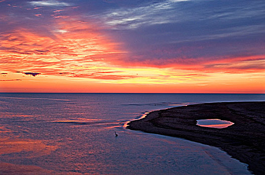 黎明,天空,上方,海滩,嘴,爱德华王子岛,国家公园,加拿大