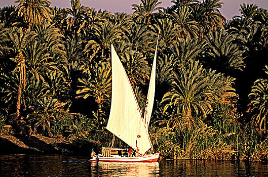 埃及,尼罗河流域,三桅小帆船,尼罗河,河