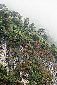 桂林山水甲天下,阳朔风光甲桂林