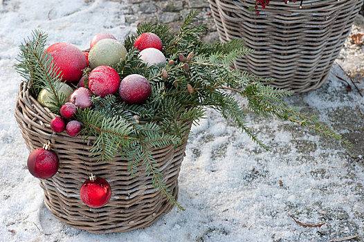 篮子,针叶树,枝条,圣诞节饰物,雪