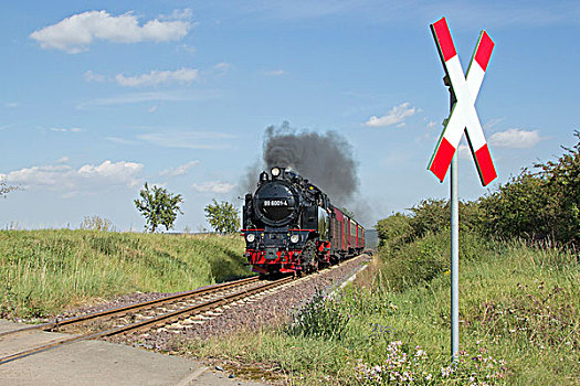 火车头,山谷,铁路,靠近,哈尔茨山,萨克森安哈尔特,德国,欧洲