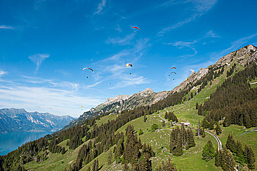 滑翔伞,航拍,因特拉肯,普拉特河,美国,布里恩茨,伯恩高地,瑞士,欧洲