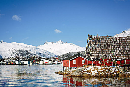 传统,渔业,罗弗敦群岛,挪威