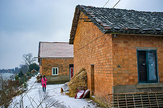 房子,红砖,瓦房,田地