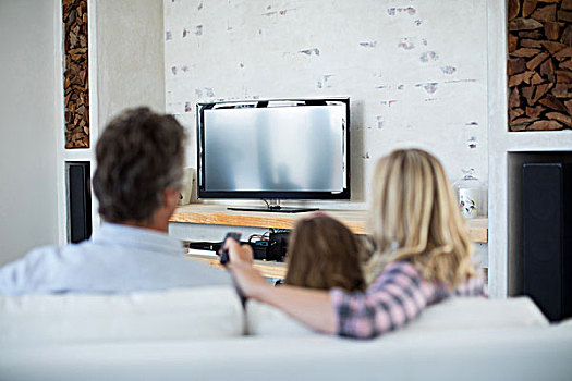 家庭,看电视,客厅,后视图,在家