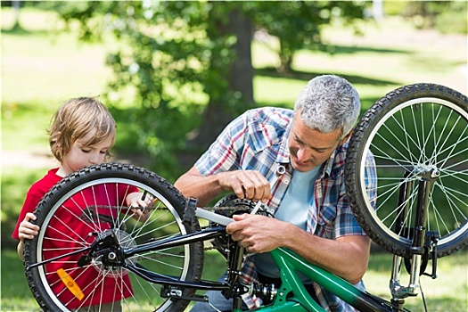 父亲,儿子,修理,自行车