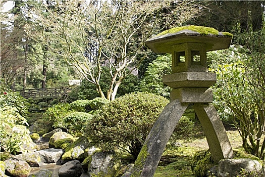 日本,石灯笼,溪流