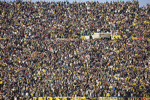 足球,球迷,体育场,蒙得维的亚,乌拉圭