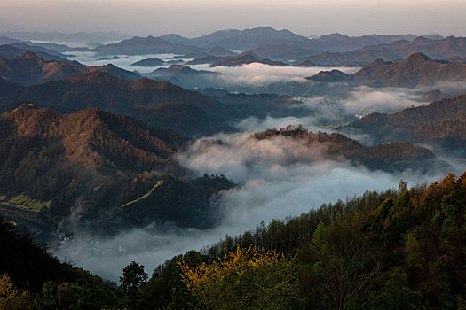 石潭,云海,安徽,山沟,油菜花,风光,壮观,气候,环境,仙境,诱惑,秀美,俯瞰,村庄