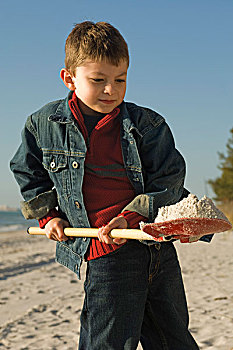 男孩,挖,铲,沙滩