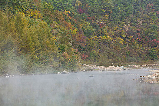 湖,水面,雾气,蒸腾,白雾,水蒸气,缥缈,仙境,灵性,家禽,鸭子,鹅,游动,自在,安静,自然,风光