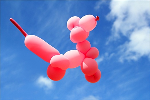 气球,贵宾狗,狗,形状,飞行,蓝天