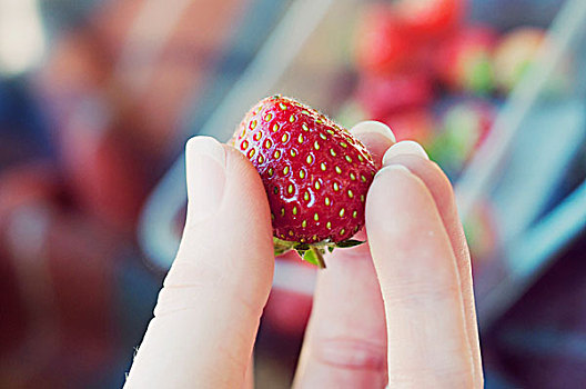 拿着,草莓