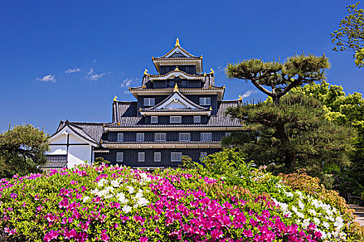 冈山,城堡
