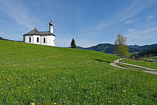 小教堂,教堂,提洛尔,奥地利,欧洲