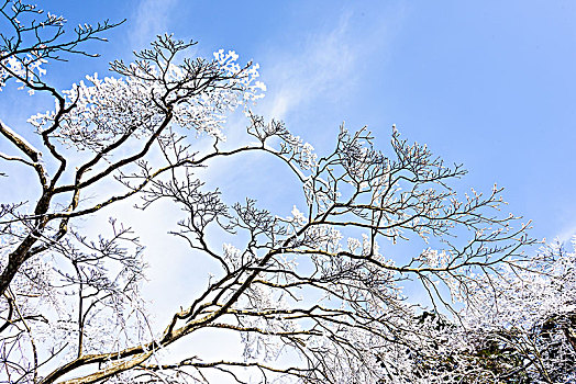 安徽黄山雪凇风光