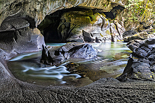 溪流,切,石灰石,创作,天然石桥,洞穴,小,地方公园,北温哥华岛,不列颠哥伦比亚省,加拿大