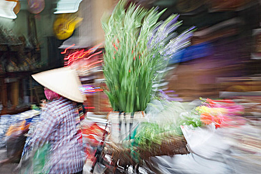 越南,河内,移动,花,摊贩