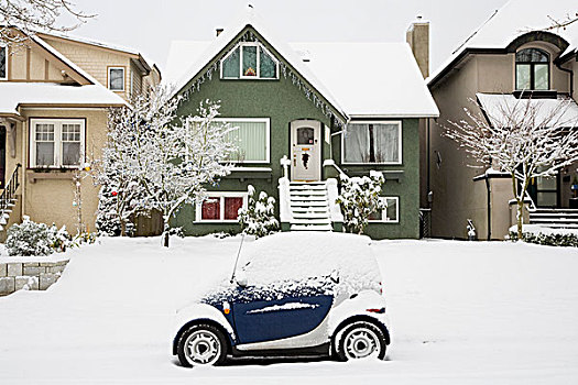 清新,下雪,居民区,温哥华,不列颠哥伦比亚省,加拿大