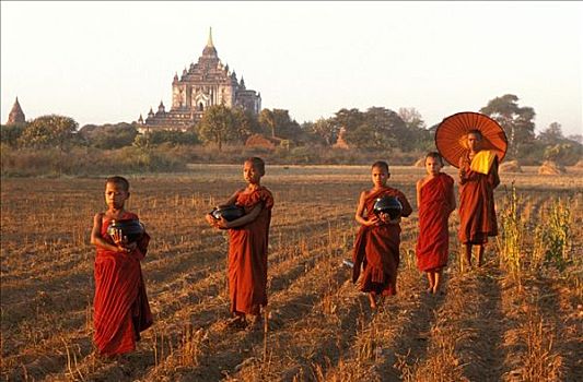 缅甸,新信徒,和尚,施舍