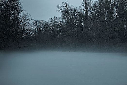水塘,阿尔萨斯,冬天,树,雾气