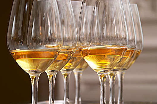 两个,排,品酒,玻璃杯,金色,可爱,白葡萄酒,钟点,法国,餐馆,巴黎
