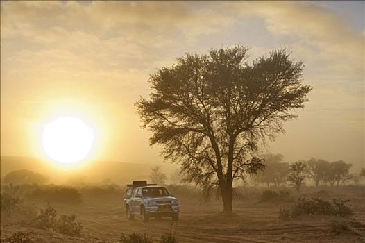 丰田,吉普车,晨雾,荒芜,靠近,索苏维来地区,纳米比亚,非洲