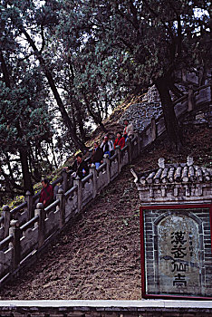 西安,兵马俑,古城,城墙,贵妃池,博物馆,黄帝陵,黄帝墓,龙雕塑,古钟,古鼎