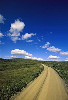 碎石路,苔原,小,积云,天空,夏天,德纳利国家公园和自然保护区,阿拉斯加