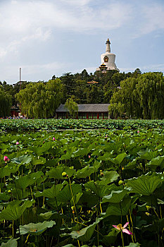 北海公园