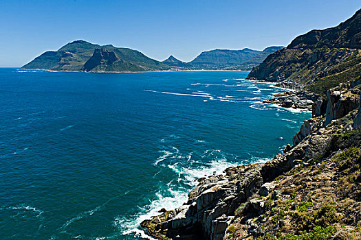 湾,靠近,开普敦,顶峰,西海角,南非,非洲
