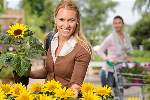 微笑,女人,拿着,盆栽,向日葵,花卉商店