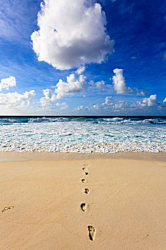 沙滩,脚印,拉迪戈岛,塞舌尔