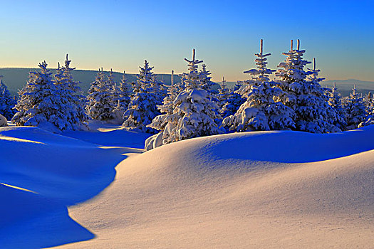 吉林省仙峰国家森林公园的雪景