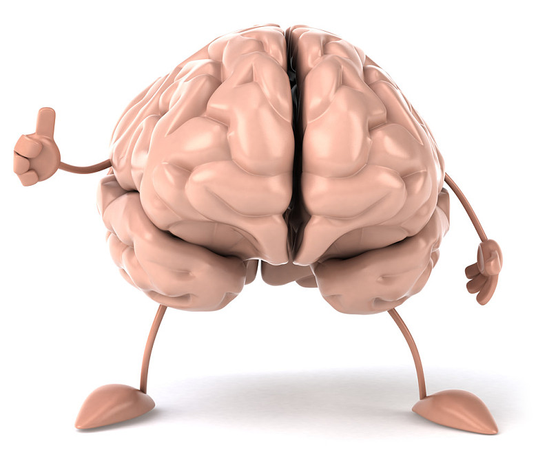 大脑_搞笑_高清图片_全景视觉