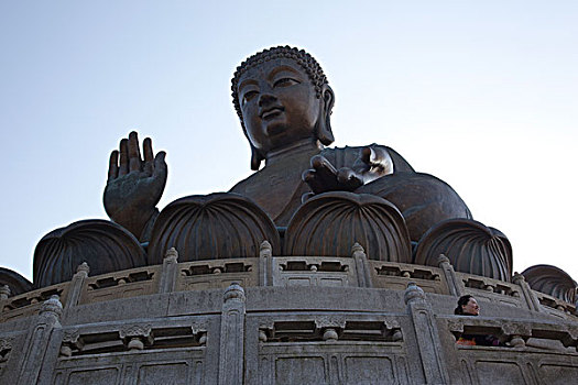 大佛,雕塑,寺院,大屿山,香港