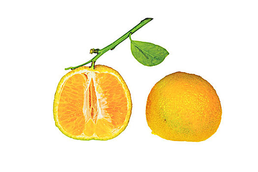克莱门氏小柑橘,一半,隔绝,白色背景,背景