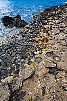玄武岩,柱子,巨人堤,靠近,安特里姆郡,北爱尔兰,英国