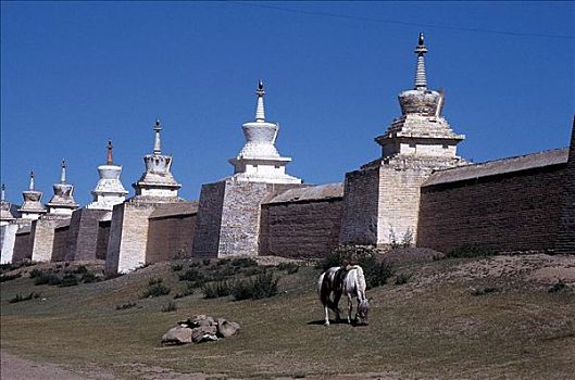寺院,墙壁,马,哺乳动物,喀喇昆仑,蒙古,亚洲,动物
