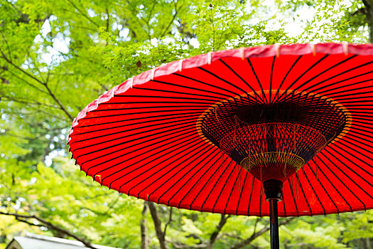 红色,油纸伞,公园