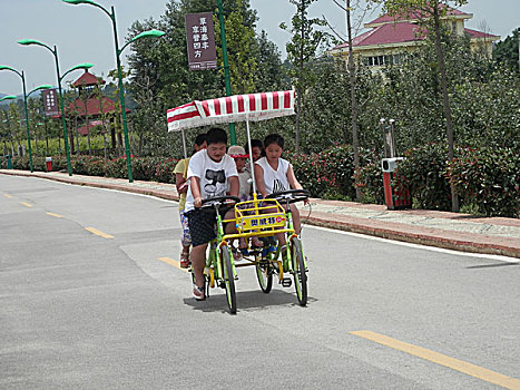 草海,泰丰,现代,特色,农业,示范,园区,景观,旅游,游客,观光,葡萄,花,草