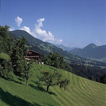 山峦,树,奥地利,欧洲