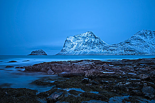 海滩,蓝色,钟点,黎明,罗弗敦群岛,挪威,欧洲