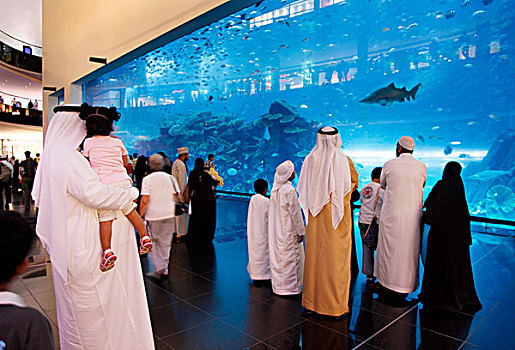 迪拜,水族箱,水下,动物园,商场,阿联酋,中东