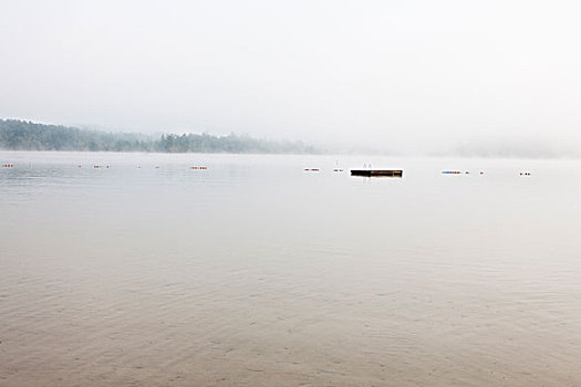 雾气,清晰,安静,水,大,湖,线条,漂浮,小,远景,松树,树林,朦胧,缅因,美国