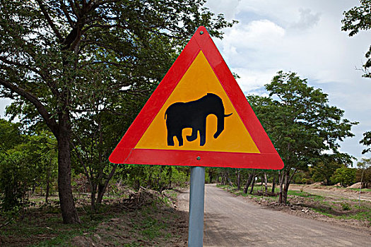 非洲象,标识,博茨瓦纳