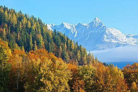 风景,贝希特斯加登阿尔卑斯山