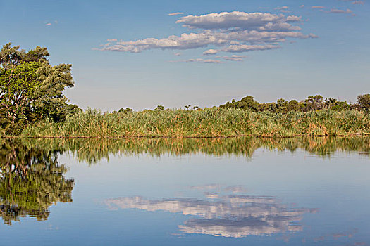河,风景,国家公园,纳米比亚