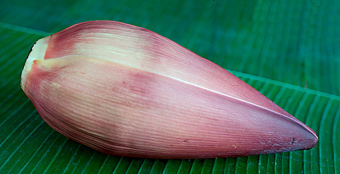 香蕉花,装饰